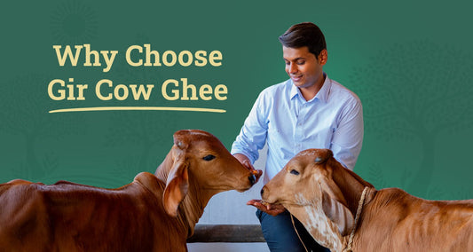 Why Choose Gir Cow Ghee