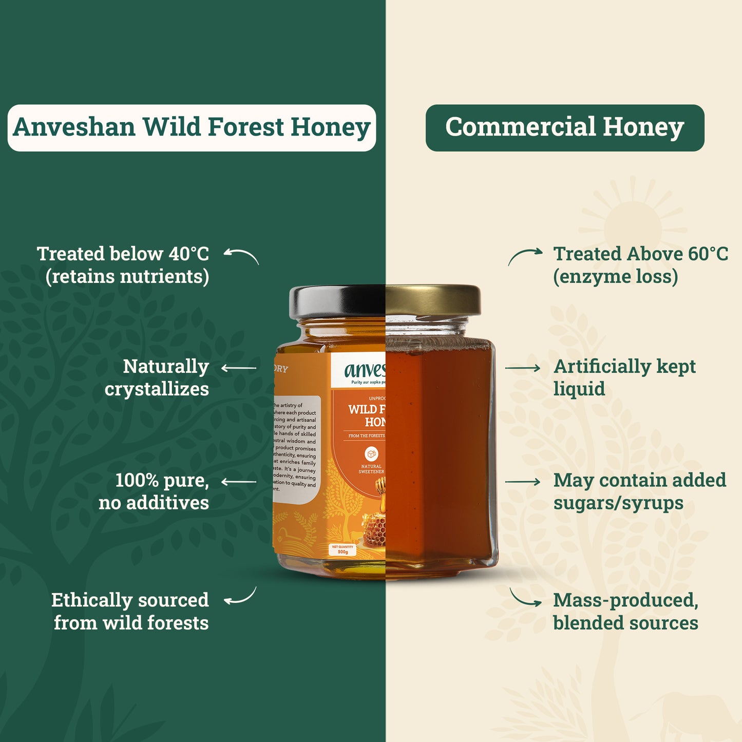 Wild Forest Honey