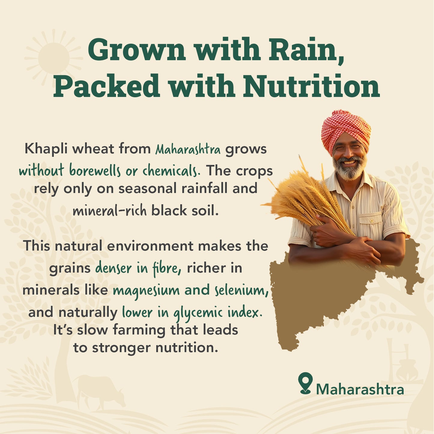 Cold-Pressed Khapli Atta | 100% Emmer Wheat | High Fibre, High Protein