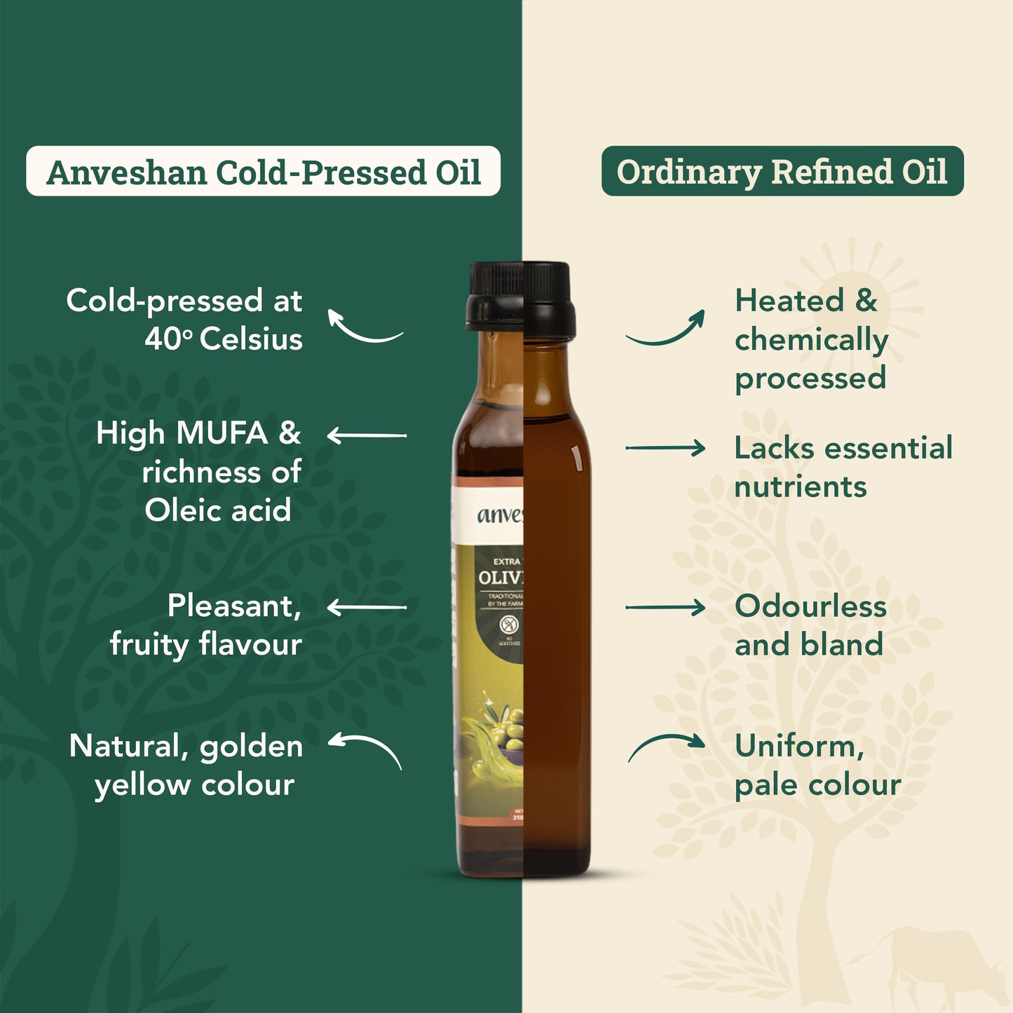 Extra Virgin Olive Oil