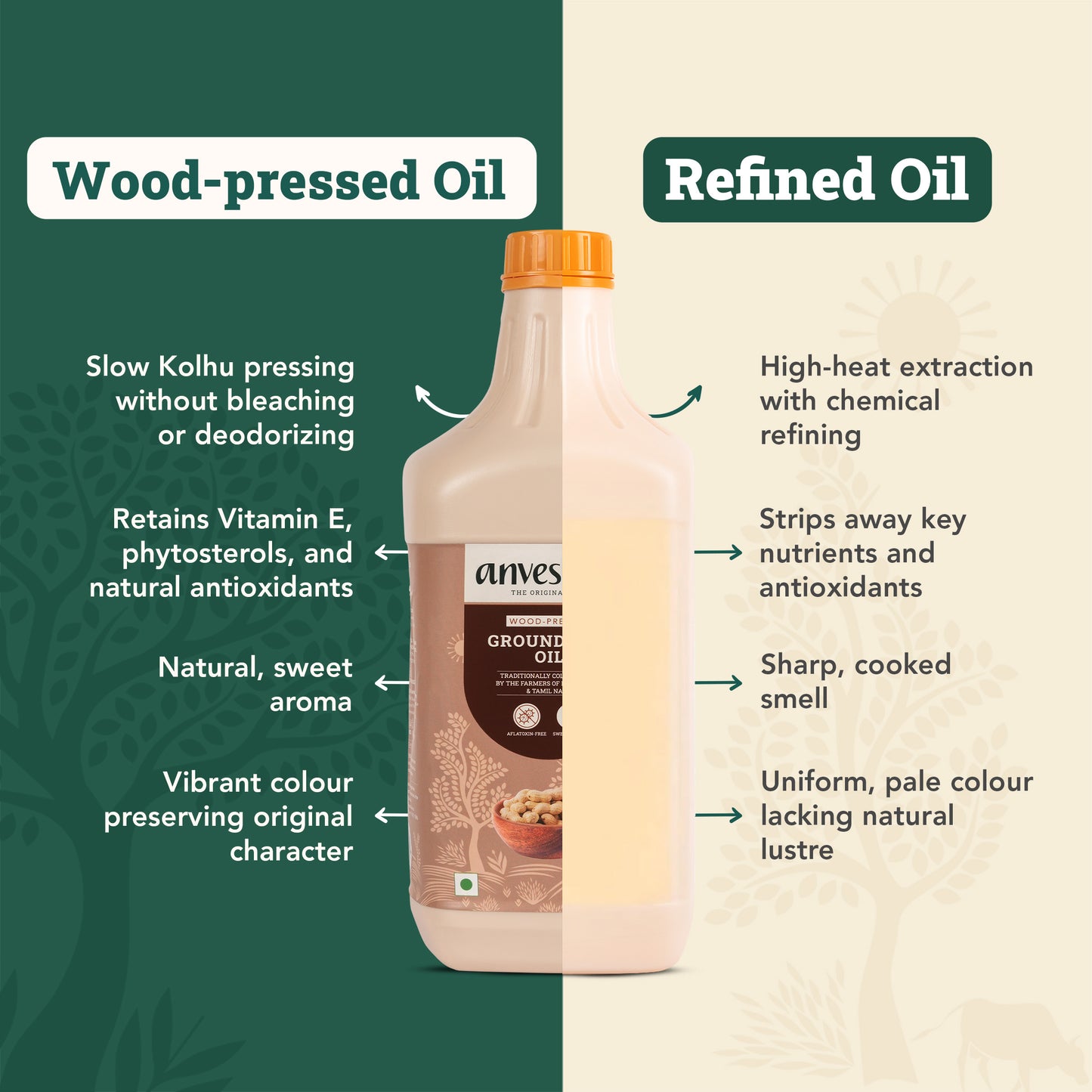 Everyday Oils for Every Dish