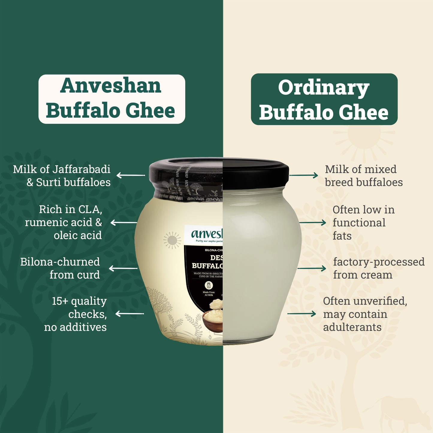 Bilona-Churned Desi Buffalo Ghee