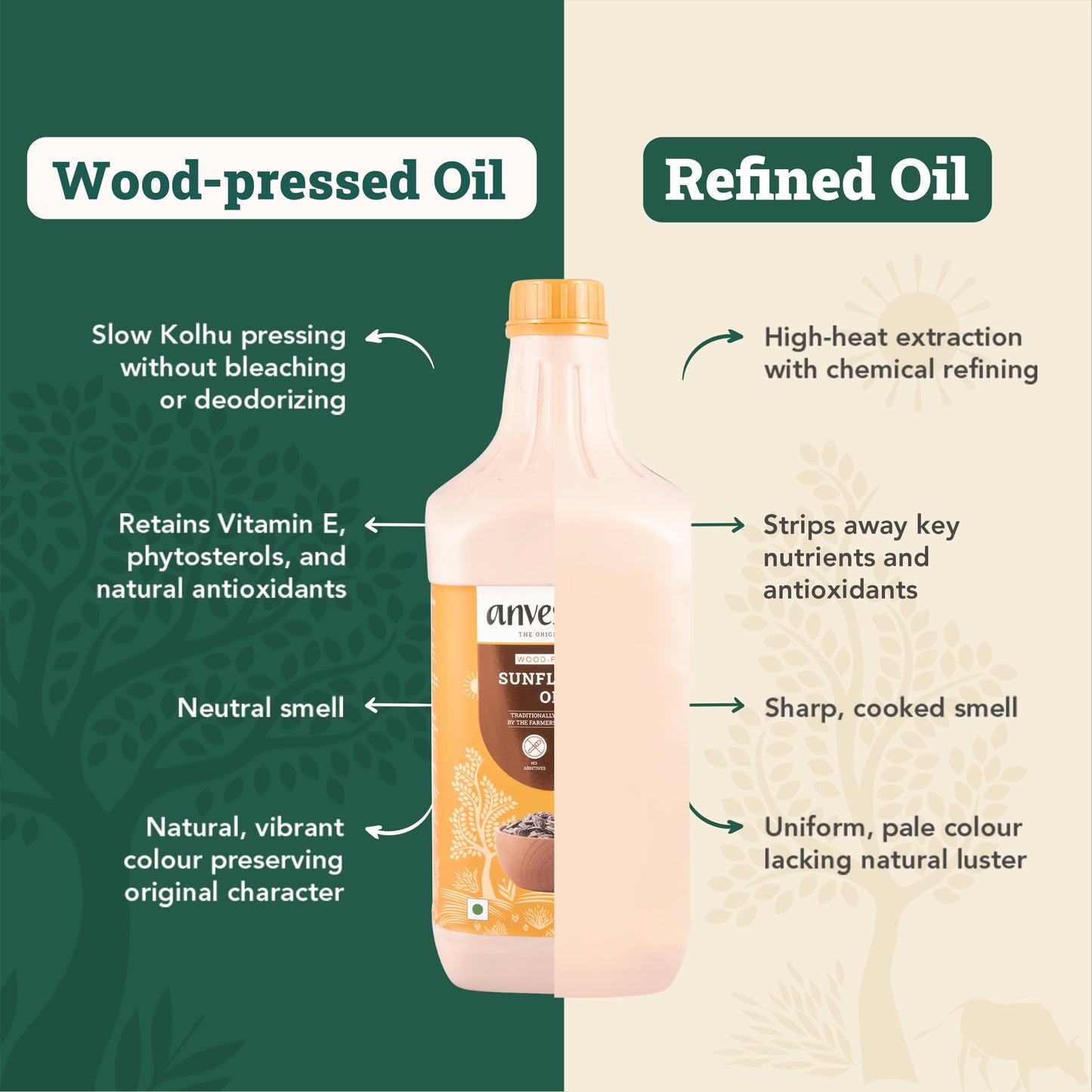 Everyday Oils for Every Dish