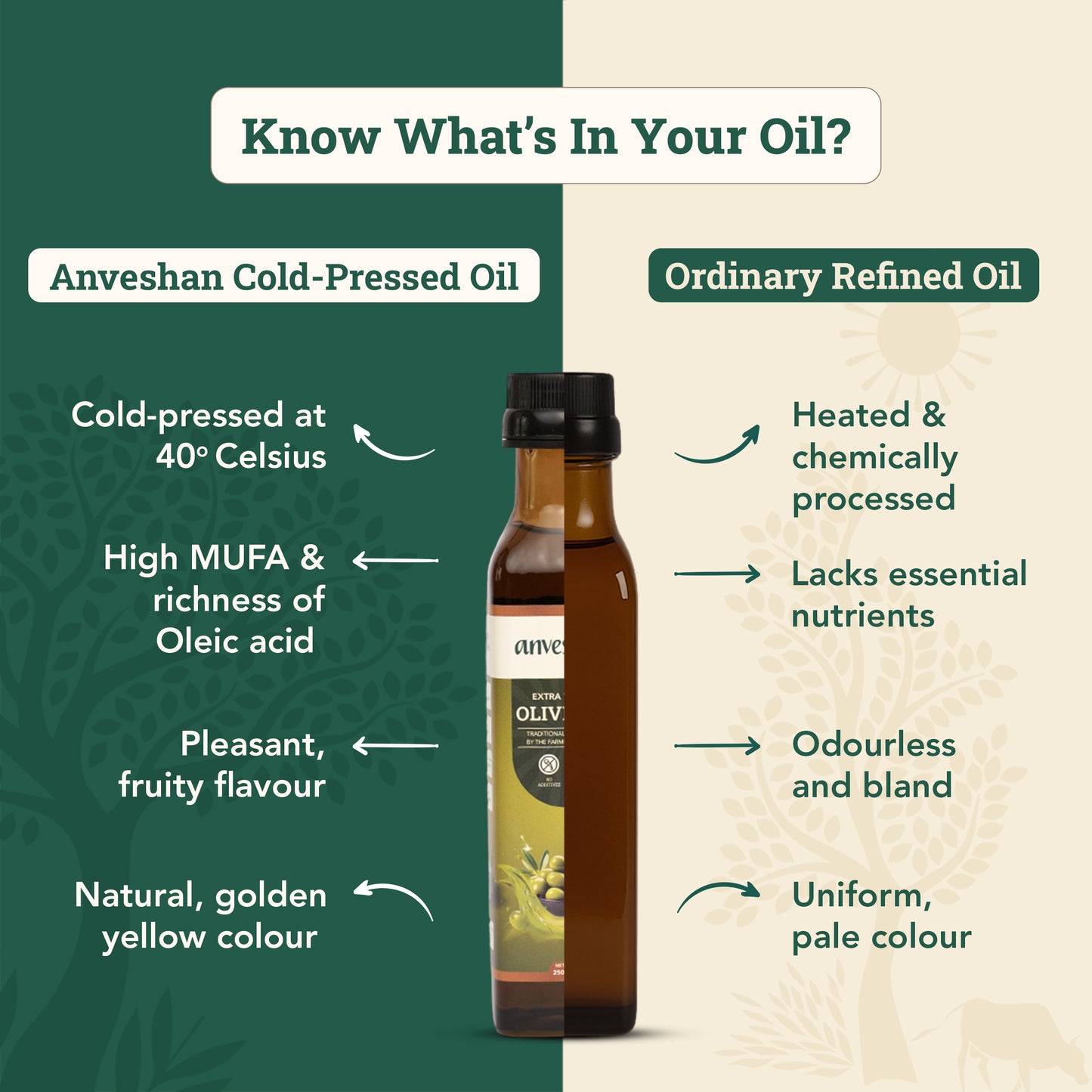 Extra Virgin Olive Oil
