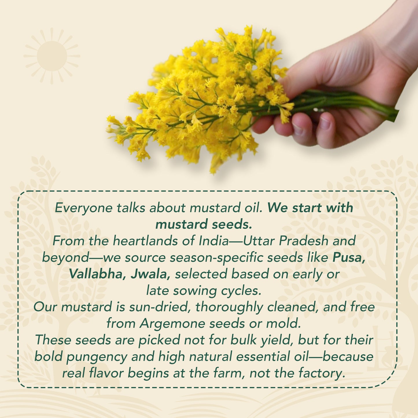 Wood-Pressed Black Mustard Oil