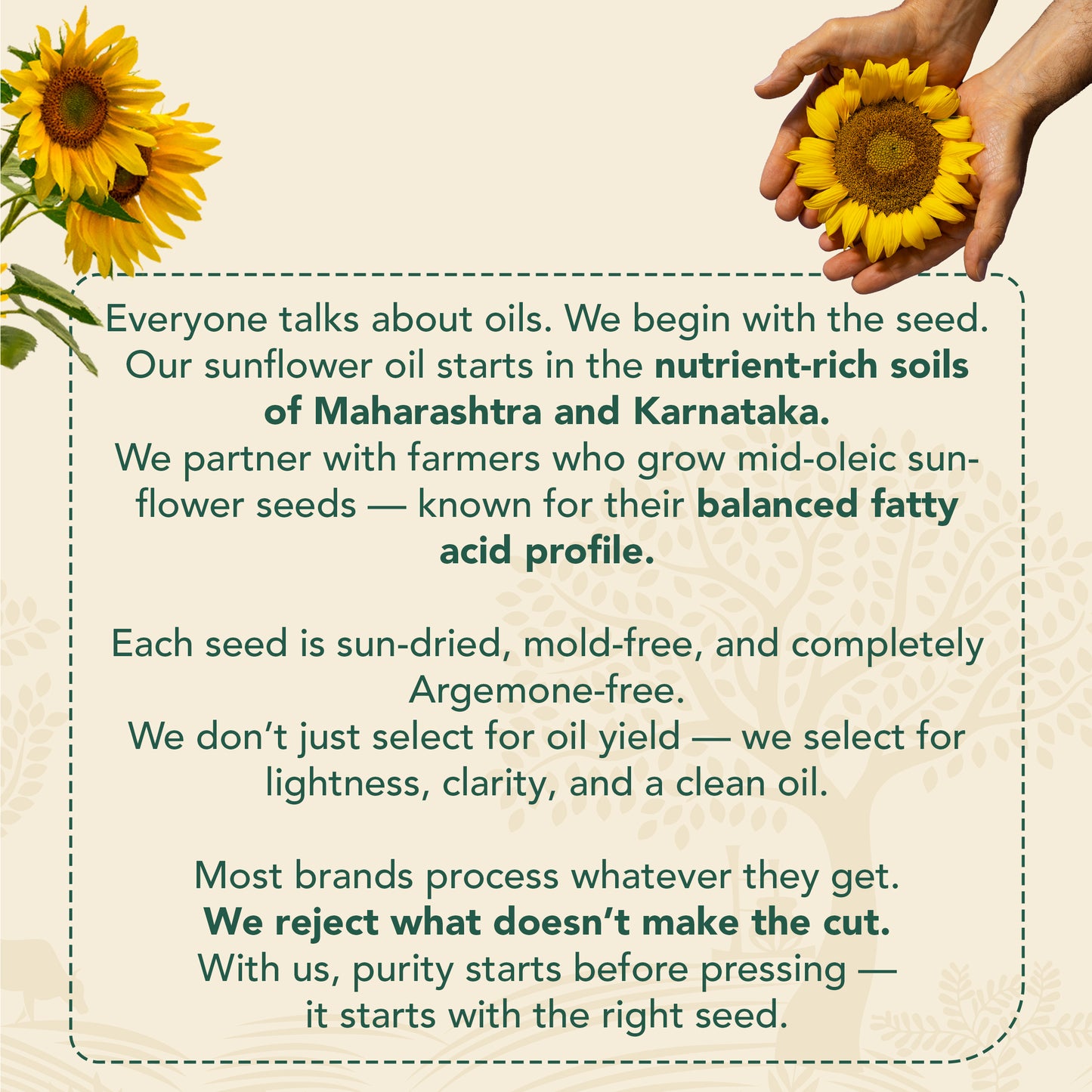 Wood-Pressed Sunflower Oil