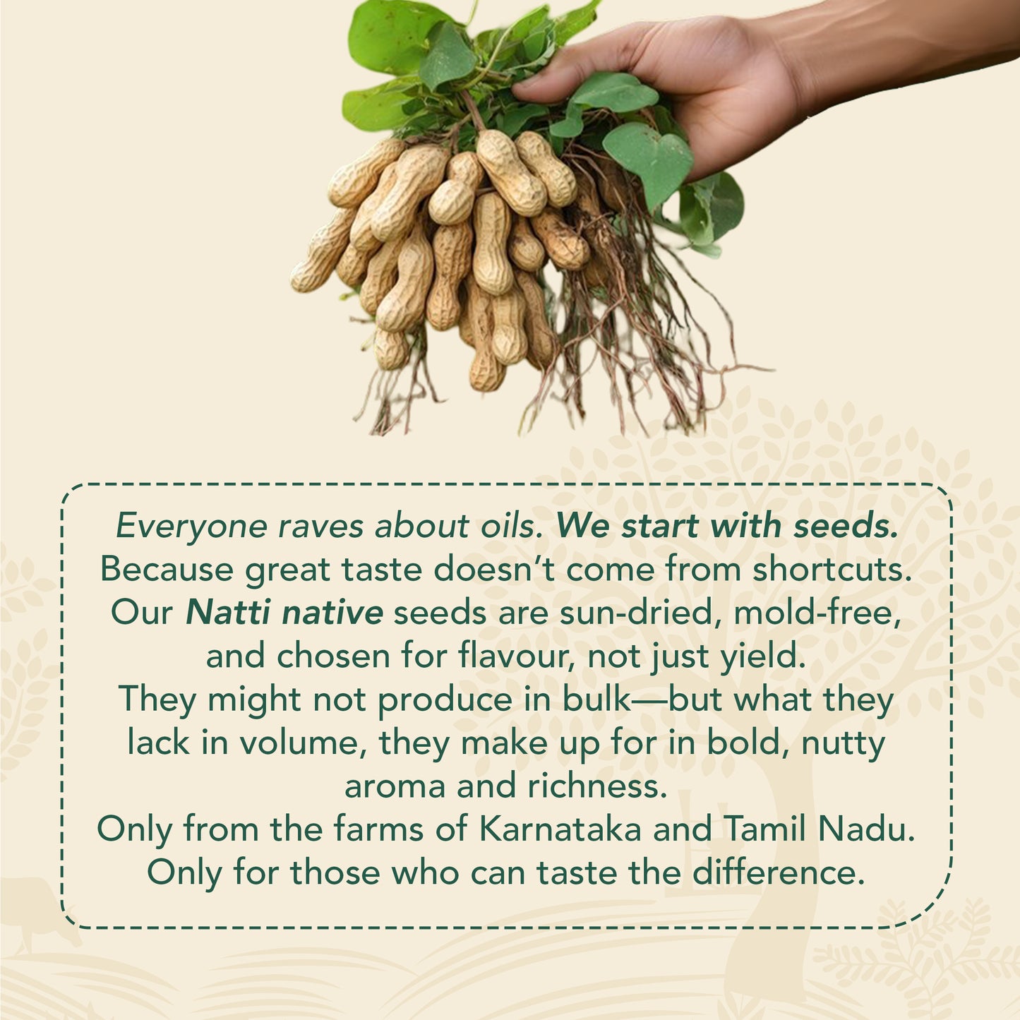 Wood-Pressed Groundnut Oil
