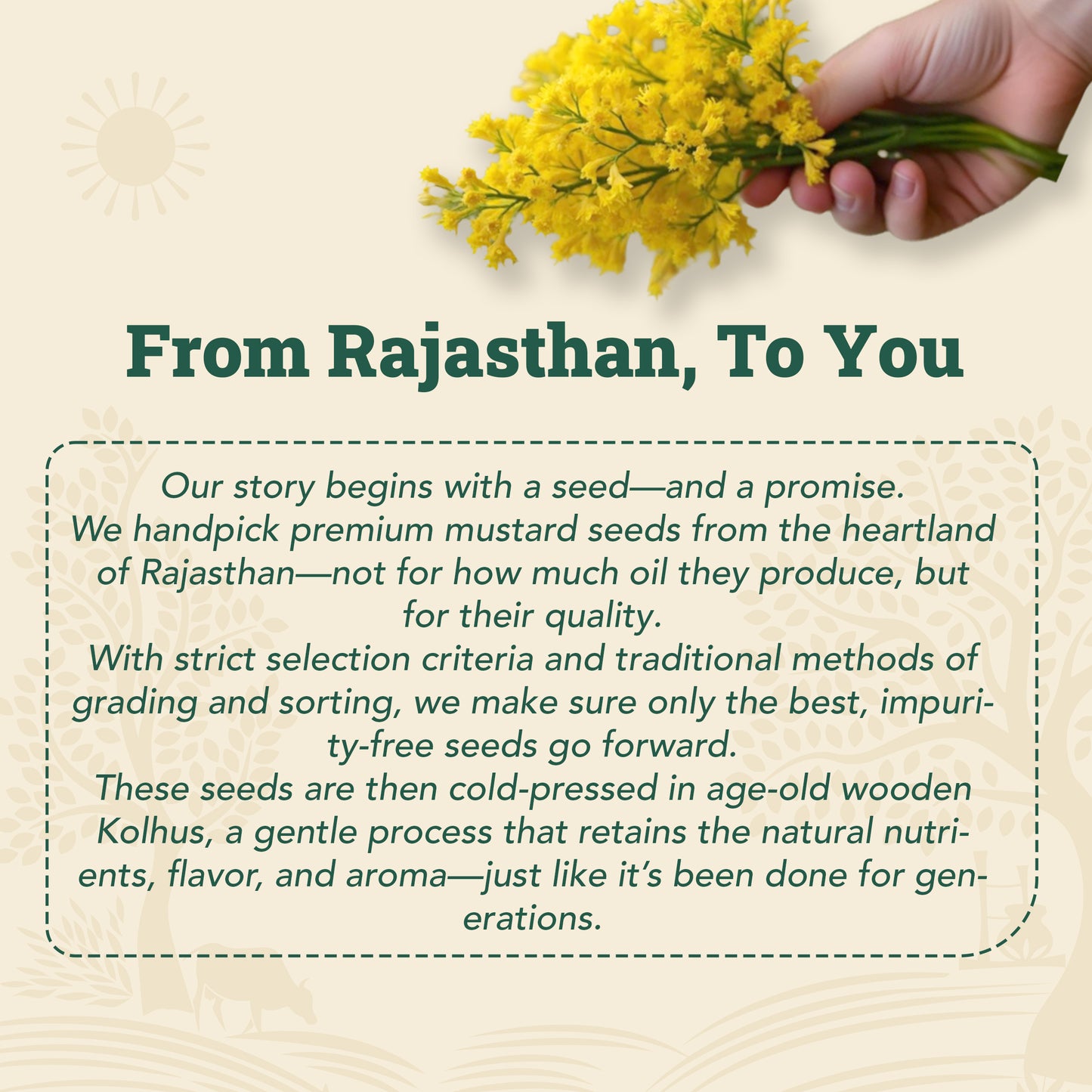 Wood-Pressed Yellow Mustard Oil