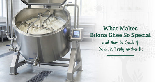 Bilona Ghee