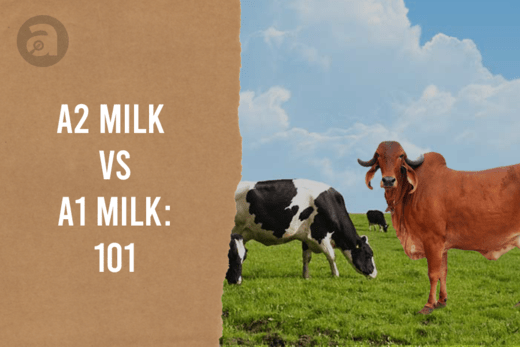 A2 milk vs A1 milk 