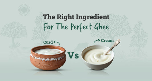Curd vs Cream – The right ingredient for making perfect ghee