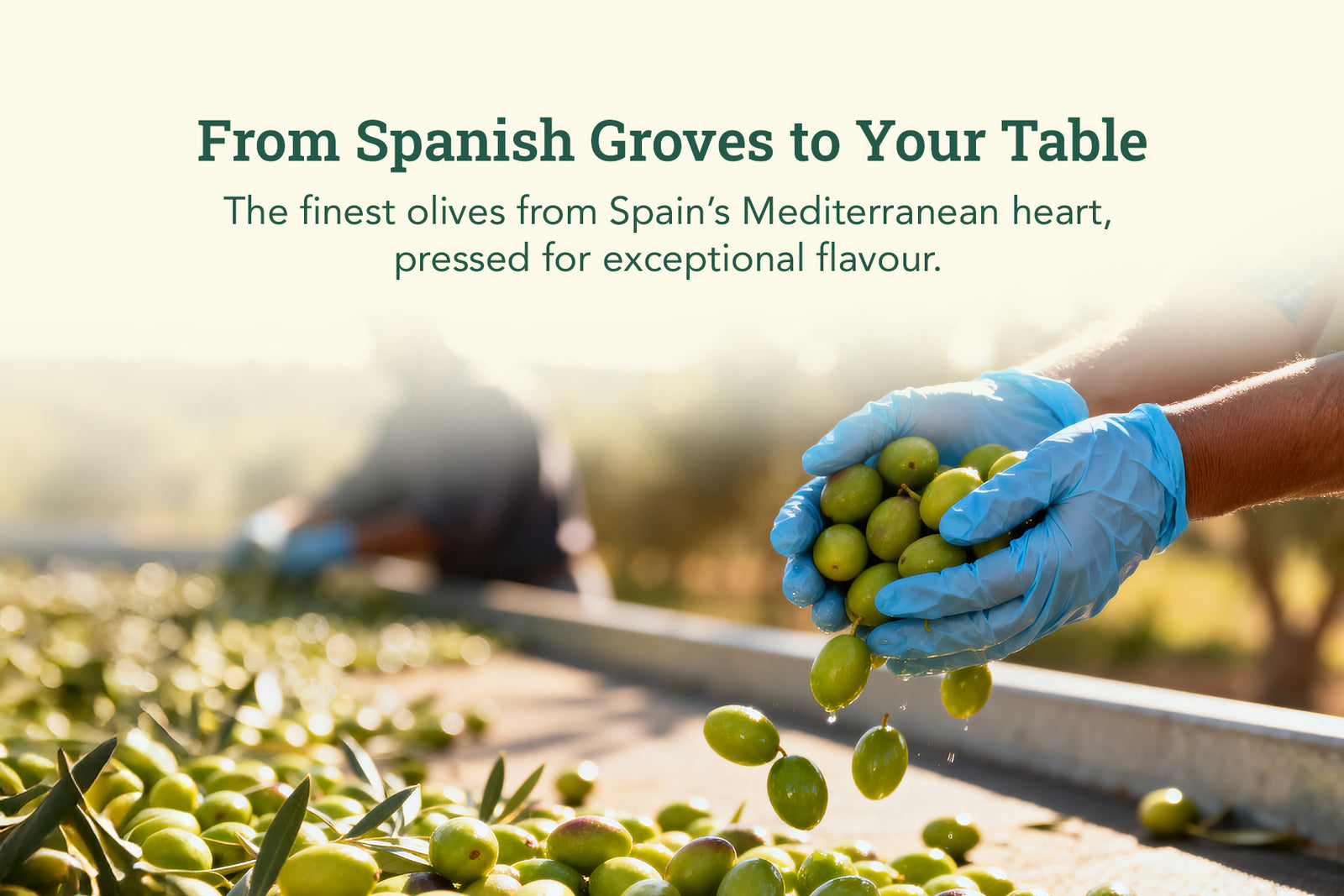 Product process step