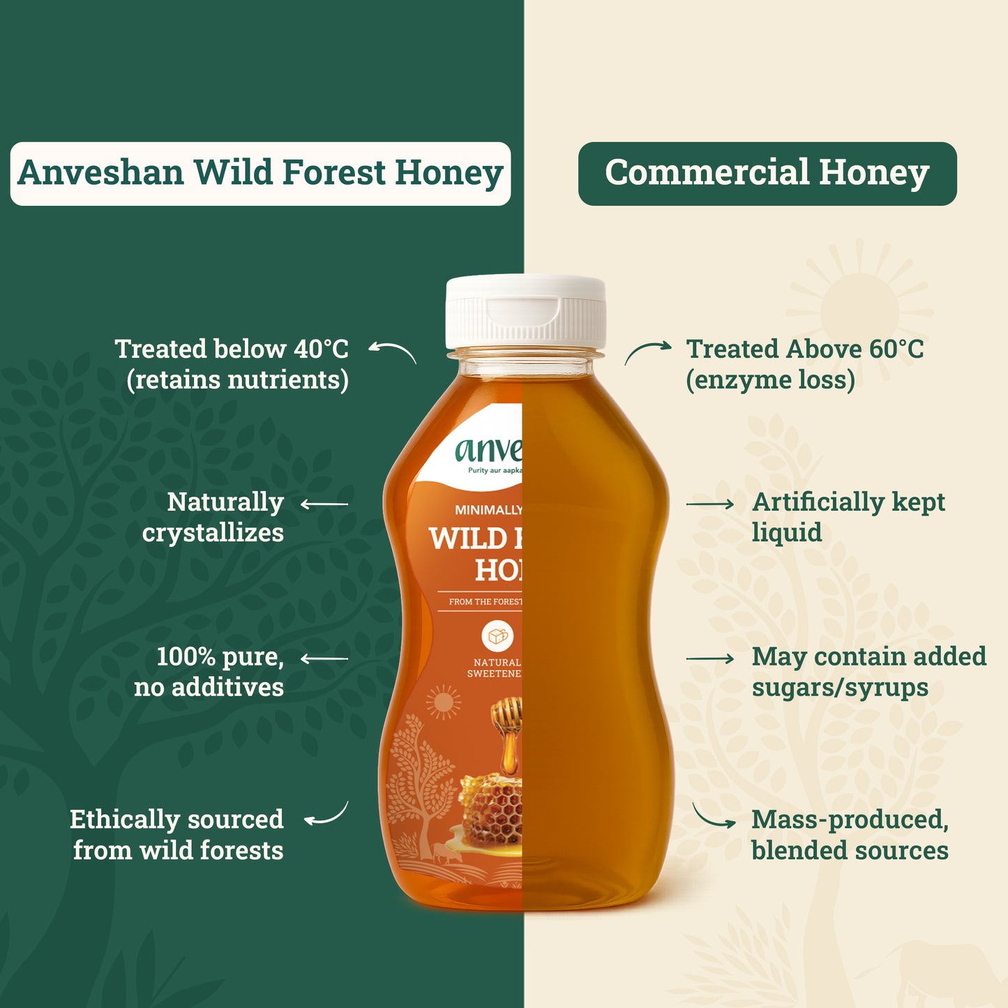 WILD FOREST HONEY SQUEEZY