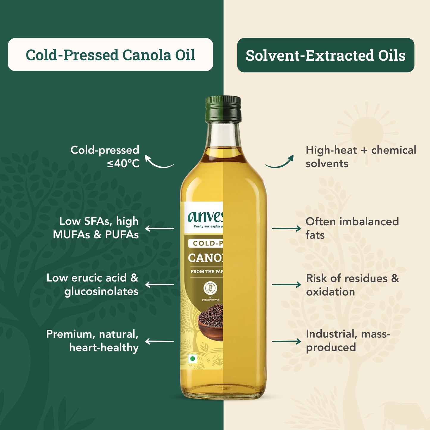 Cold-Pressed Canola Oil