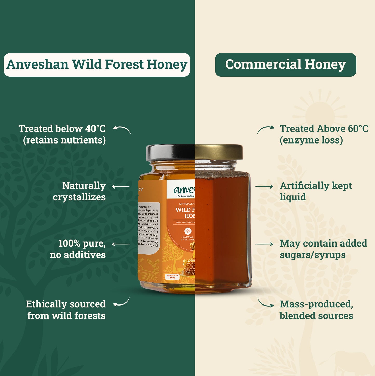 Wild Forest Honey