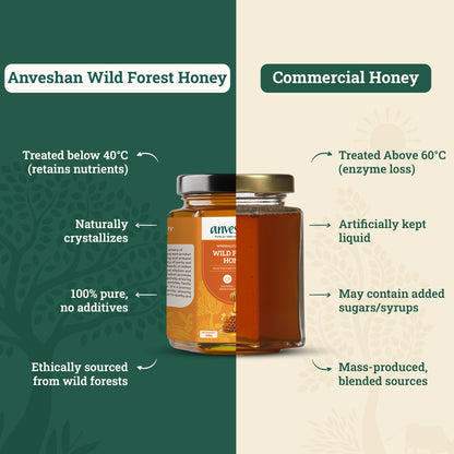 Wild Forest Honey