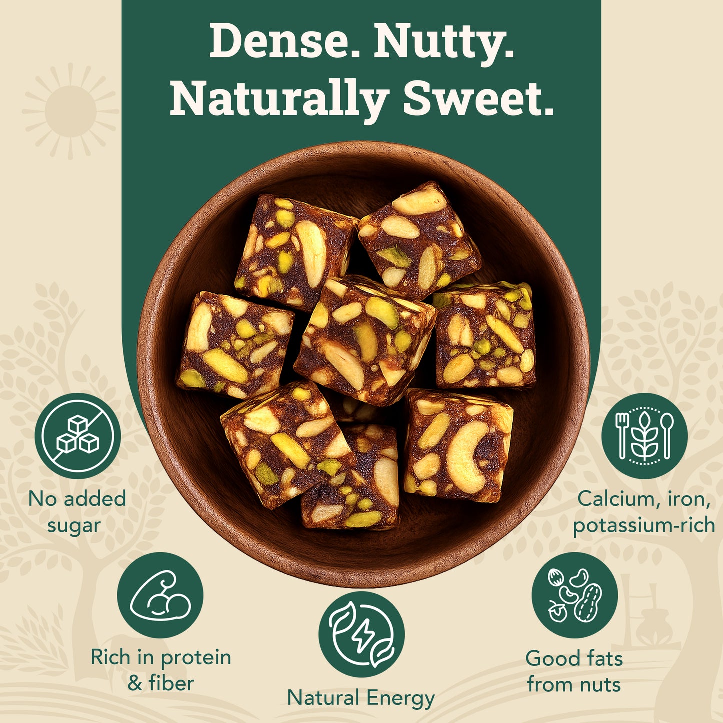 Dry Fruit Paak Bites