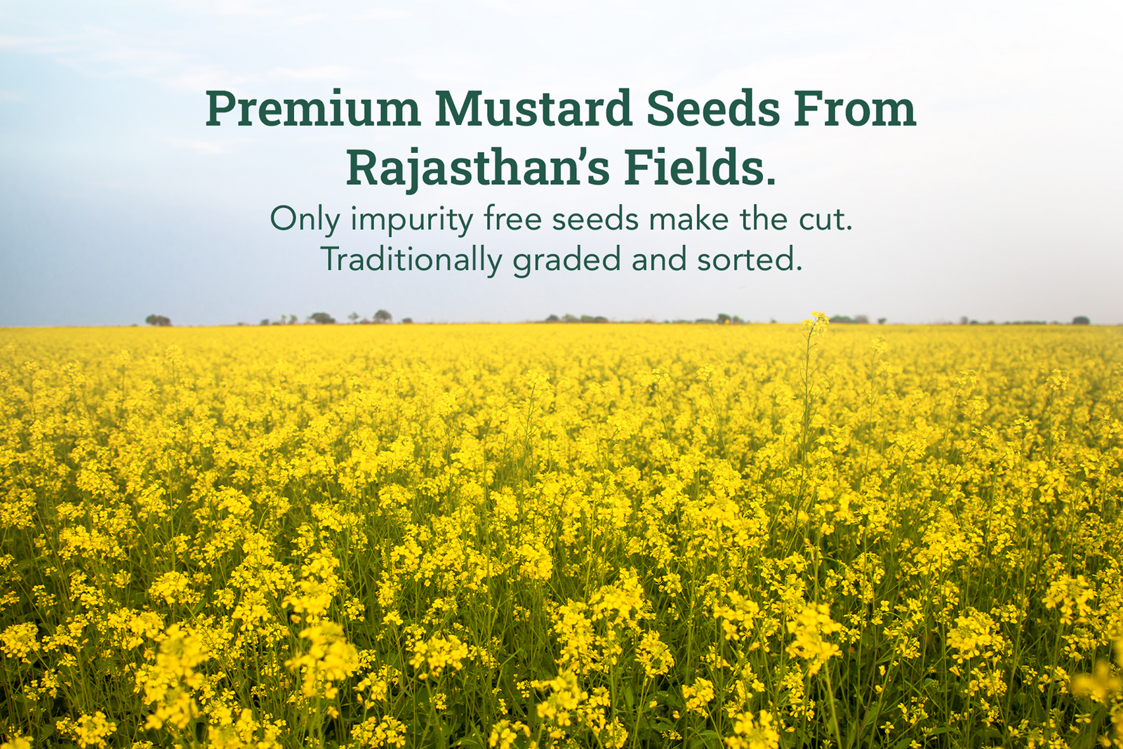 Product process step