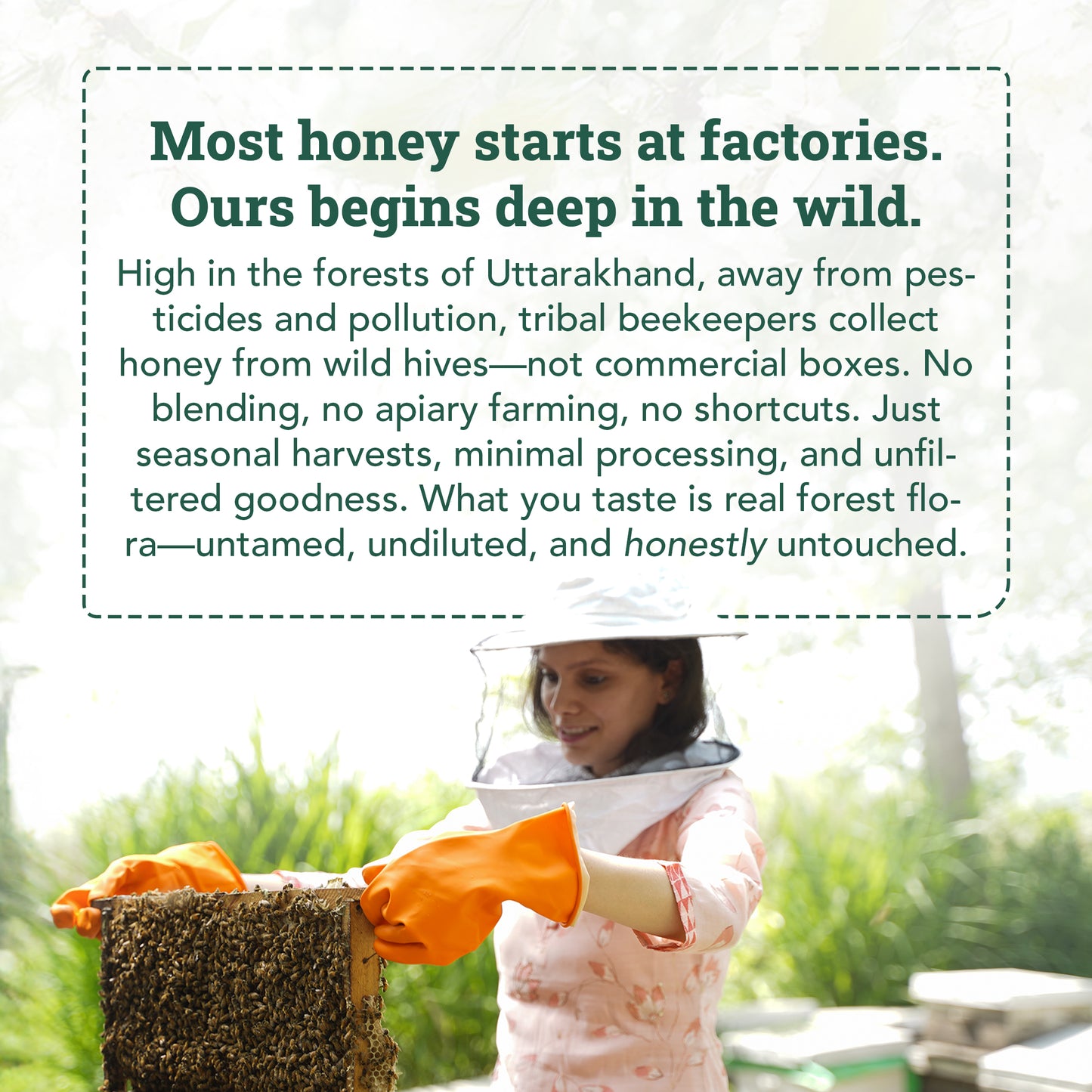 Wild Forest Honey