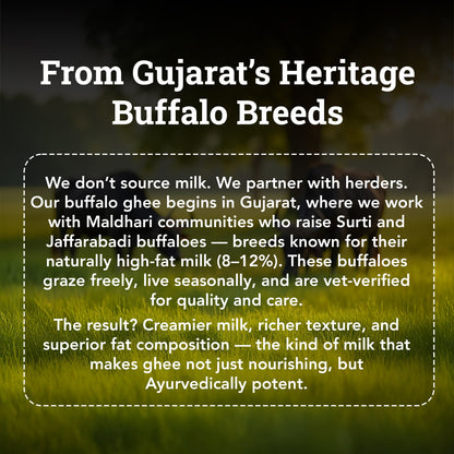 Bilona-Churned Desi Buffalo Ghee