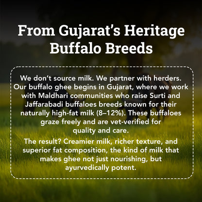 Bilona-Churned Desi Buffalo Ghee