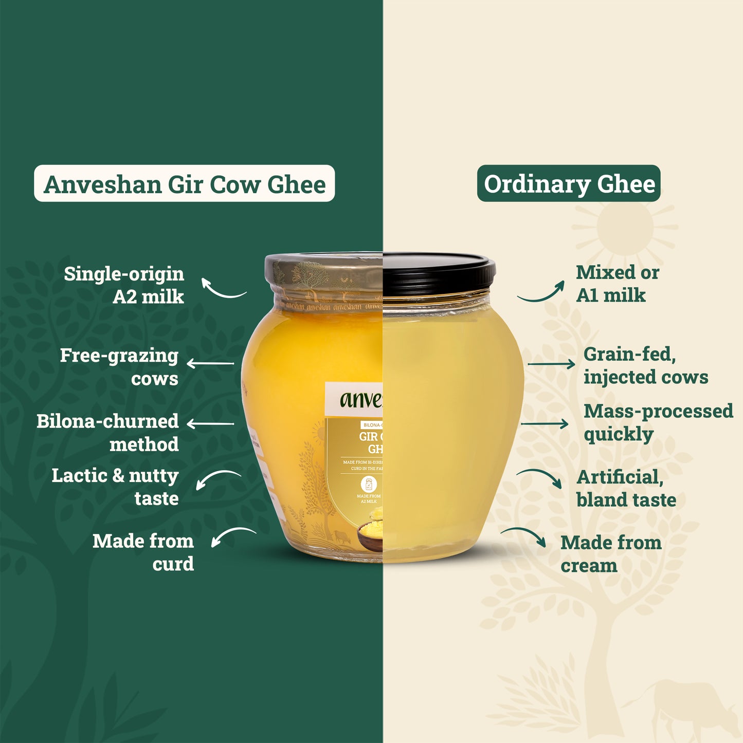 A2 Gir Cow Ghee