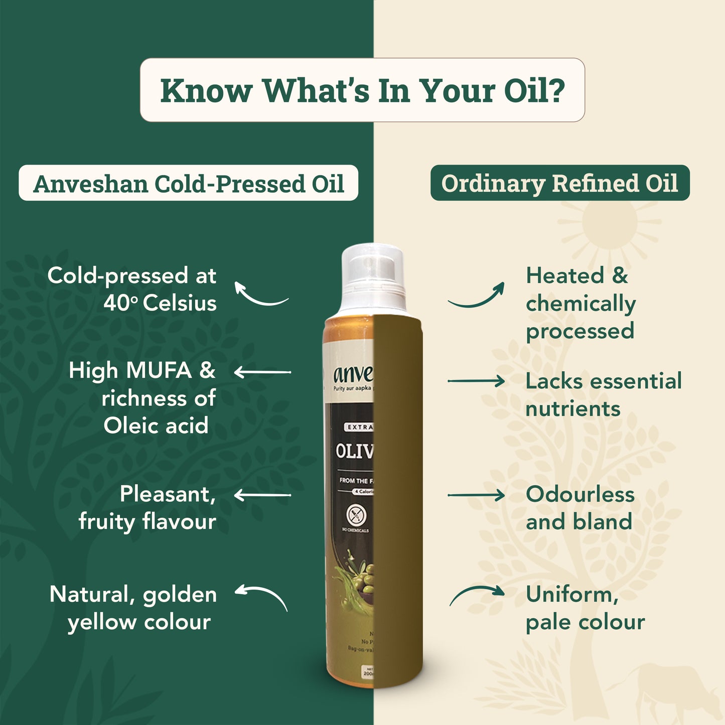 Extra Virgin Olive Oil - Spray Can