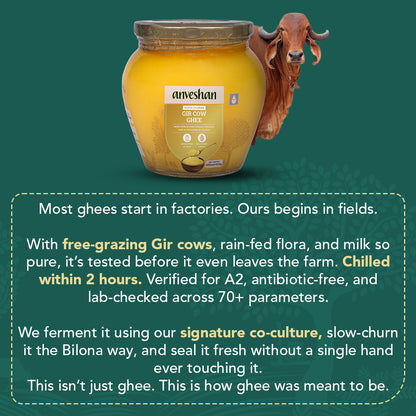 A2 Gir Cow Ghee