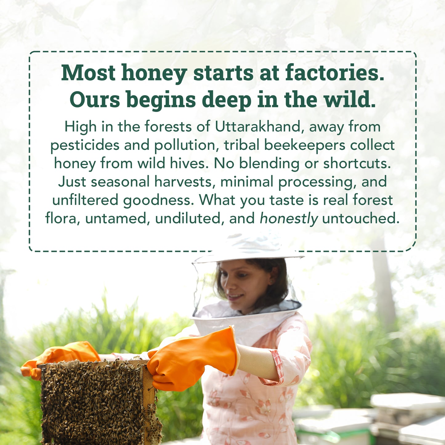 Wild Forest Honey