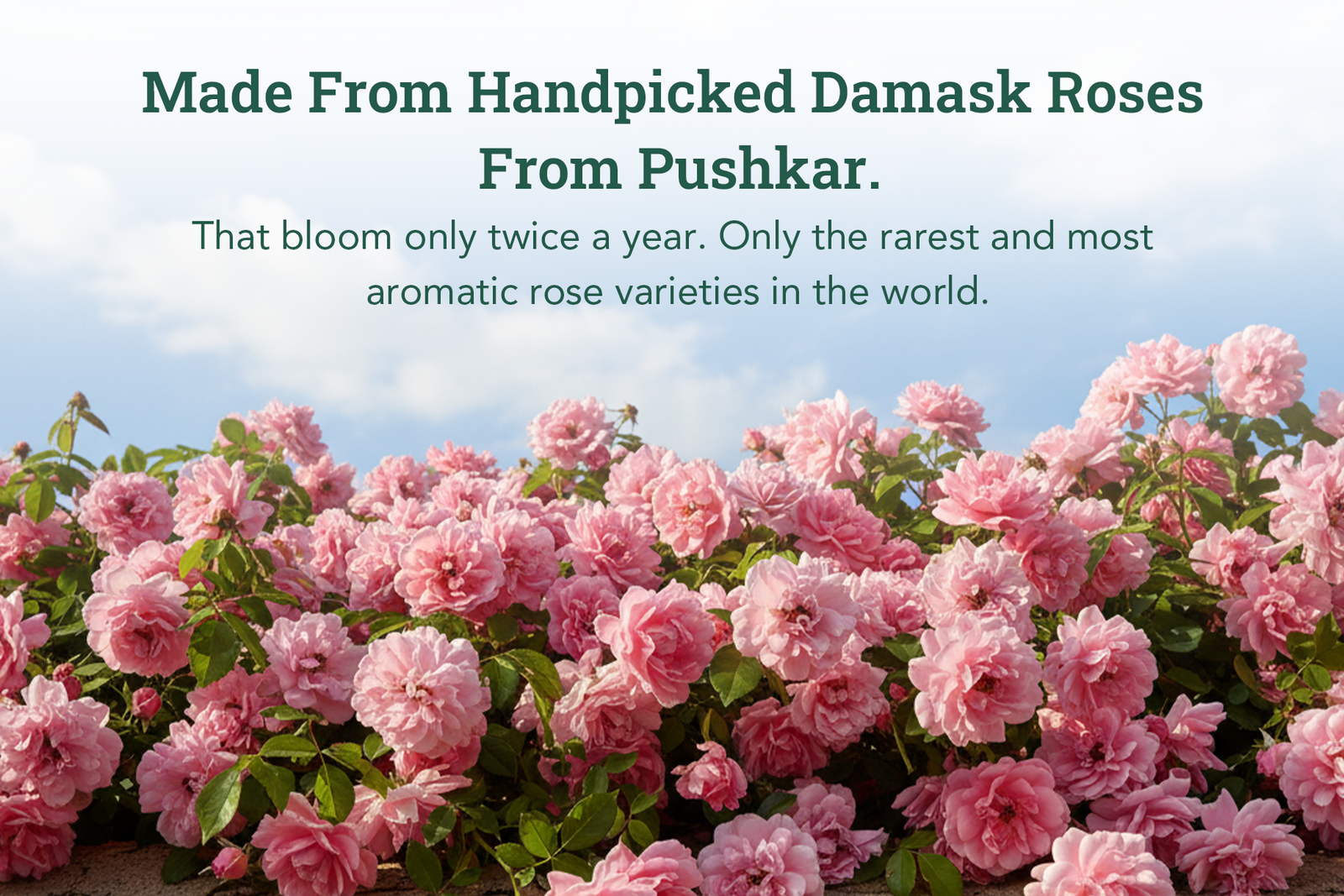 Product process step