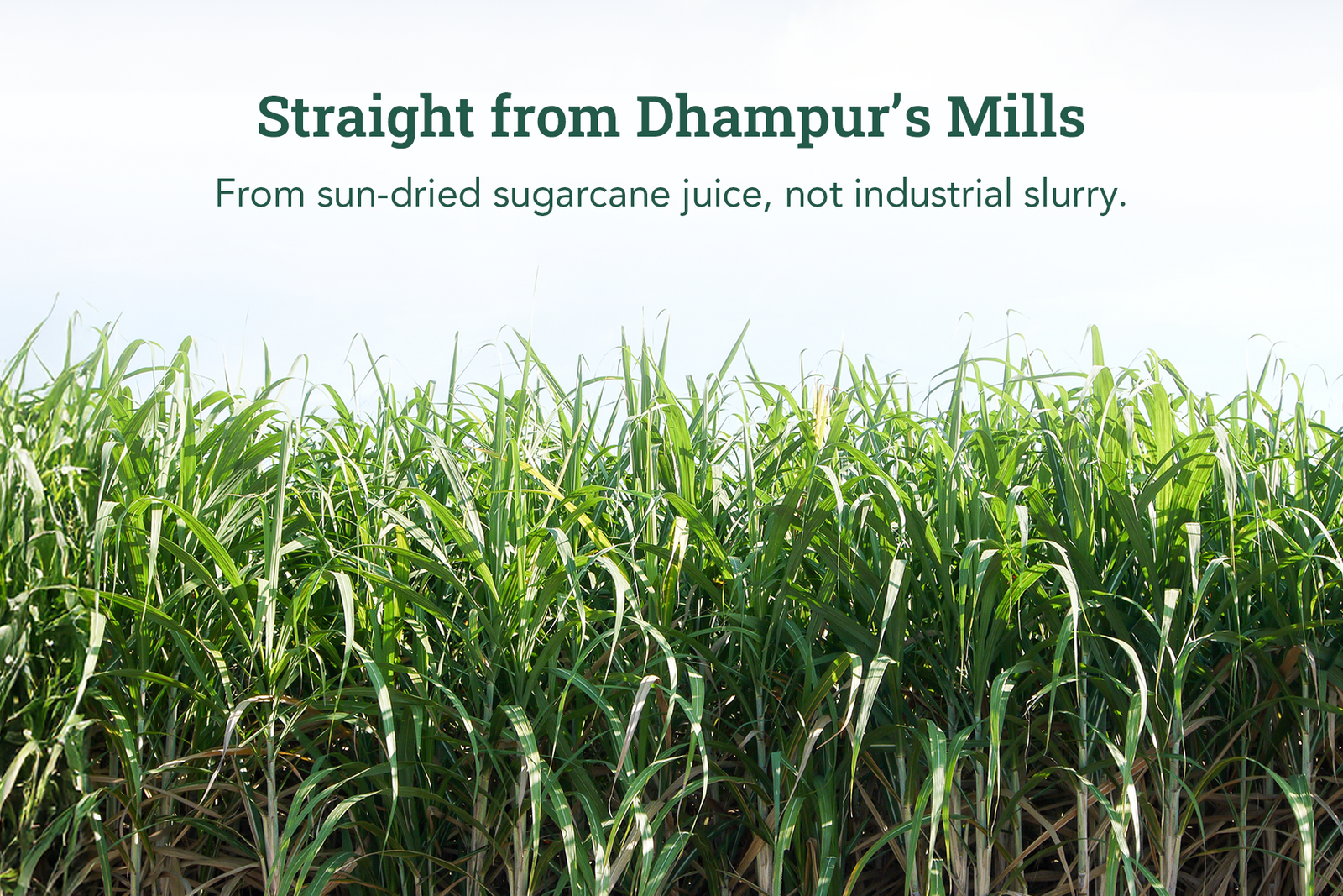 Product process step