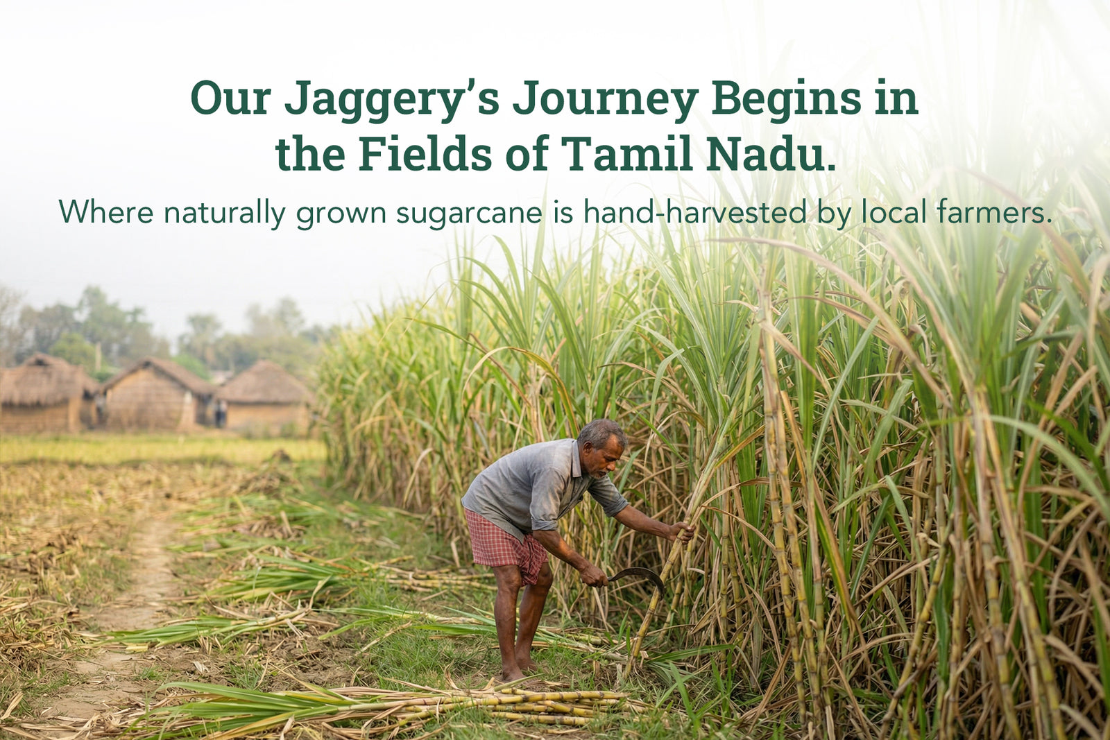 Product process step