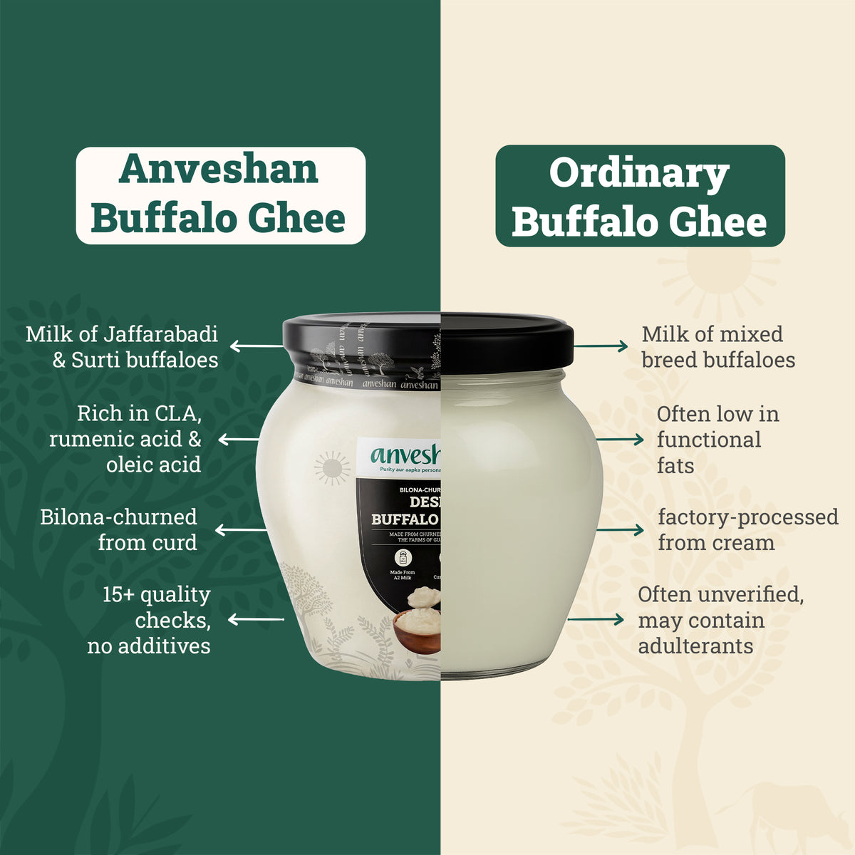 Bilona-Churned Desi Buffalo Ghee
