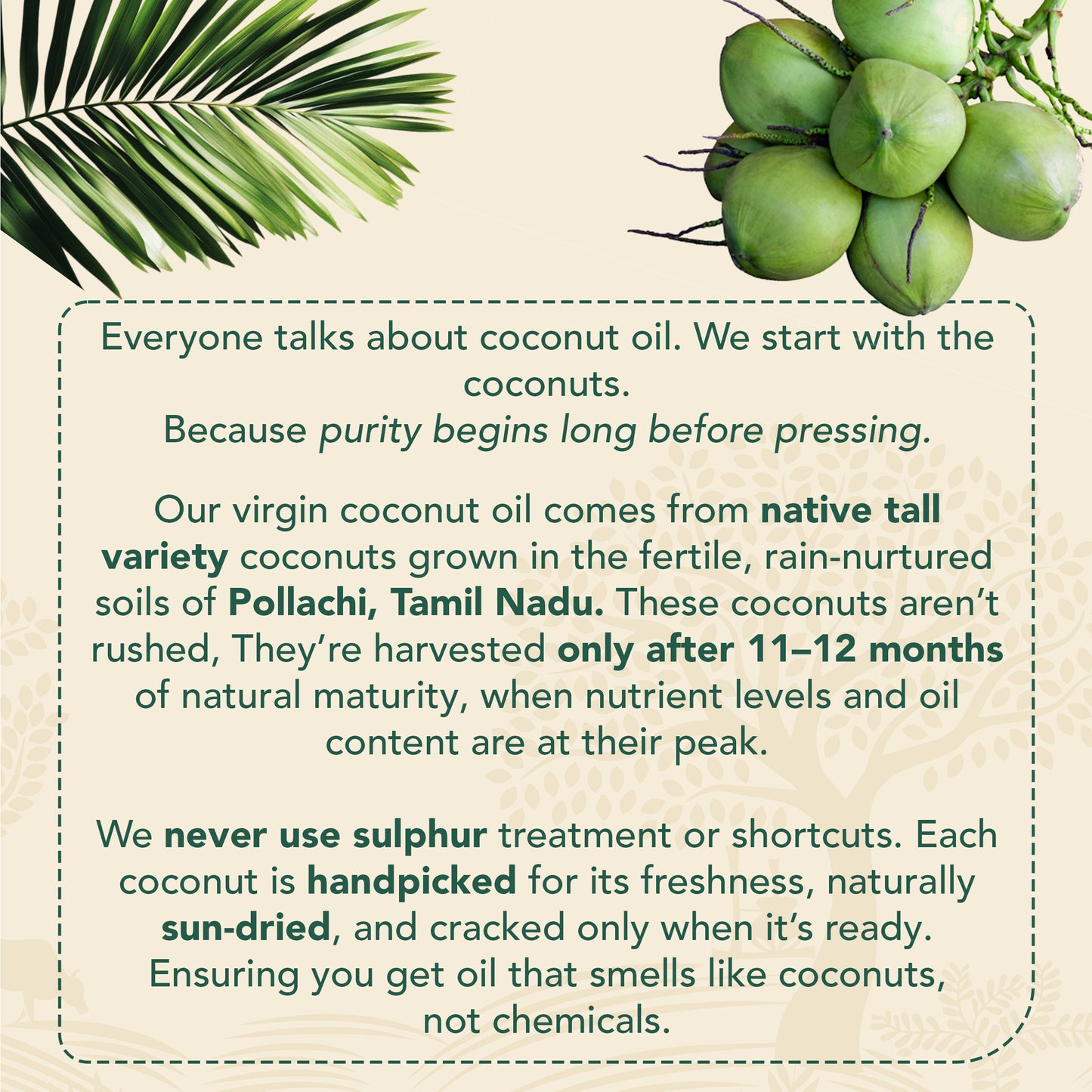 Cold-pressed Virgin Coconut Oil