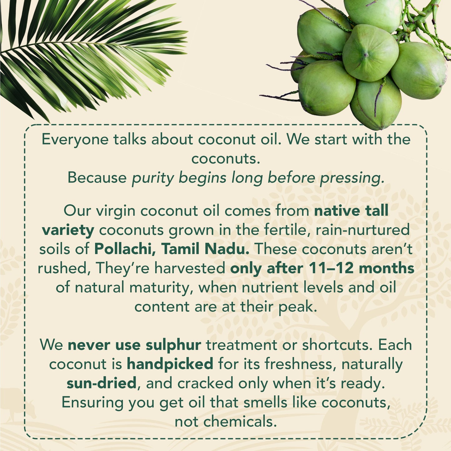Cold-pressed Virgin Coconut Oil