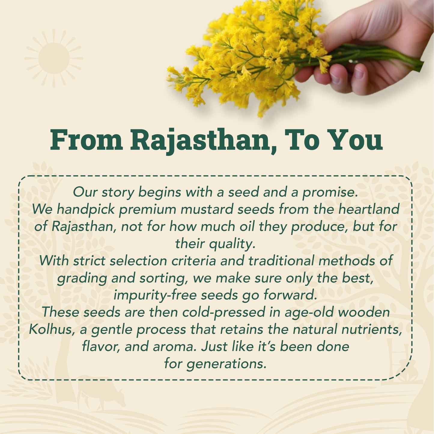 Wood-Pressed Yellow Mustard Oil