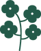 Canola Oil