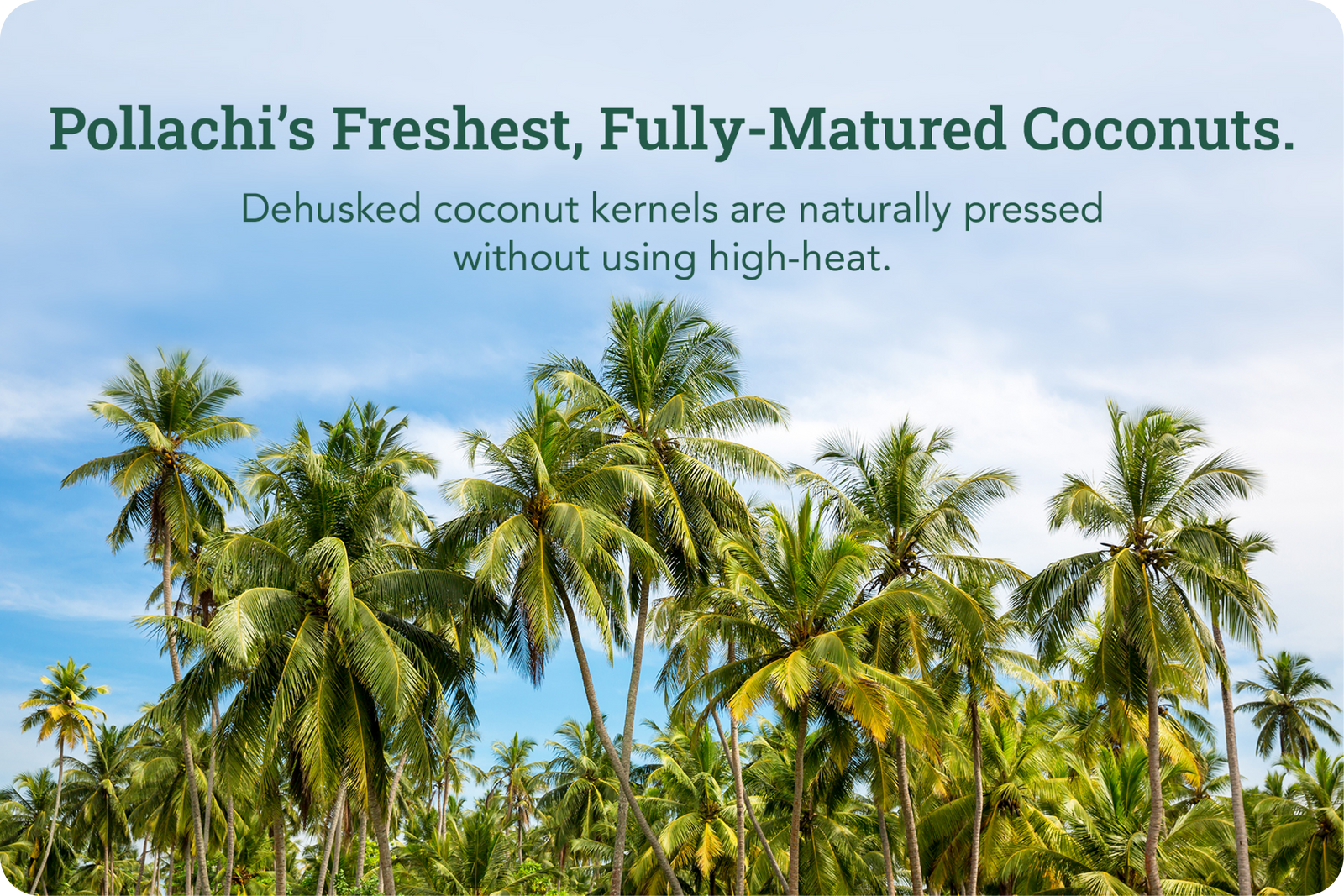 Product process step