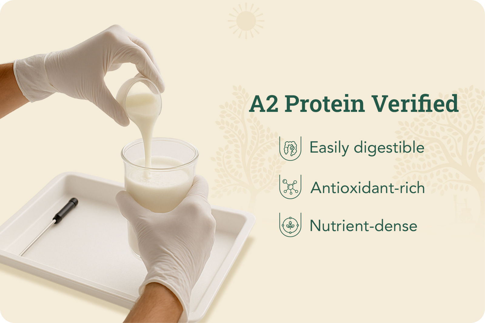 Product process step