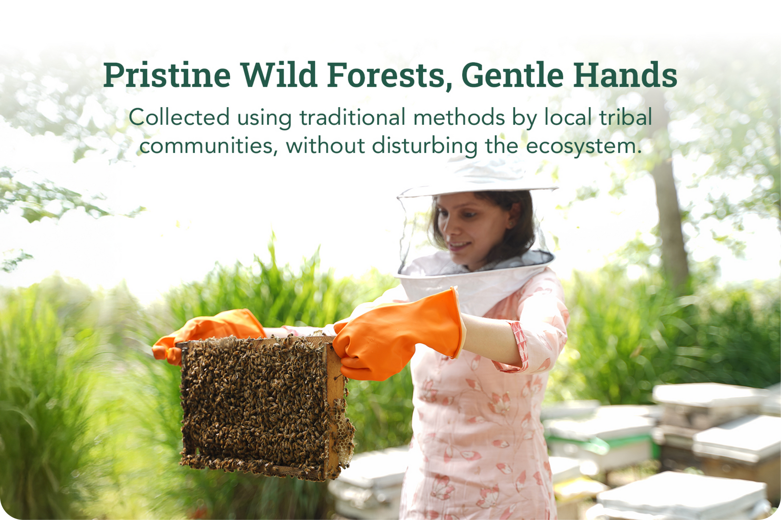 Product process step