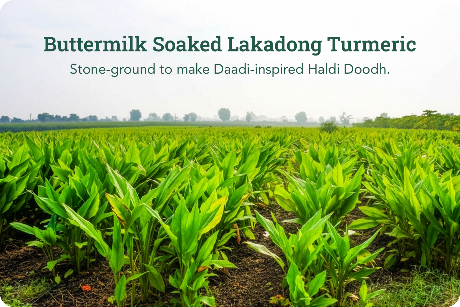 Product process step