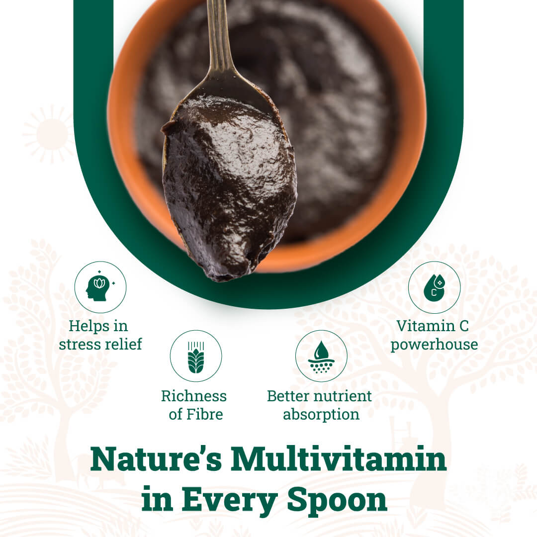 amlaprash spoon showing thick herbal amla paste