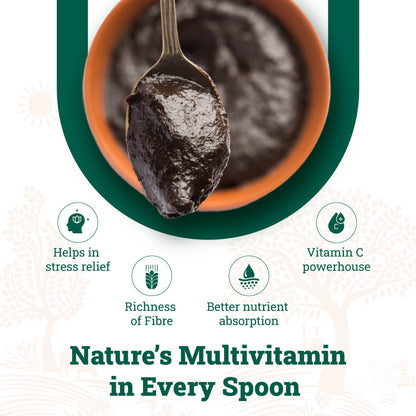 amlaprash spoon showing thick herbal amla paste