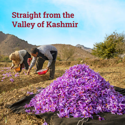 Kashmiri Mongra Saffron