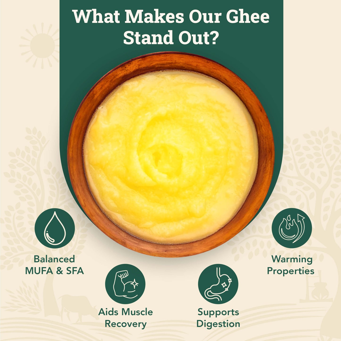 Desi Cow Ghee - Spray Can