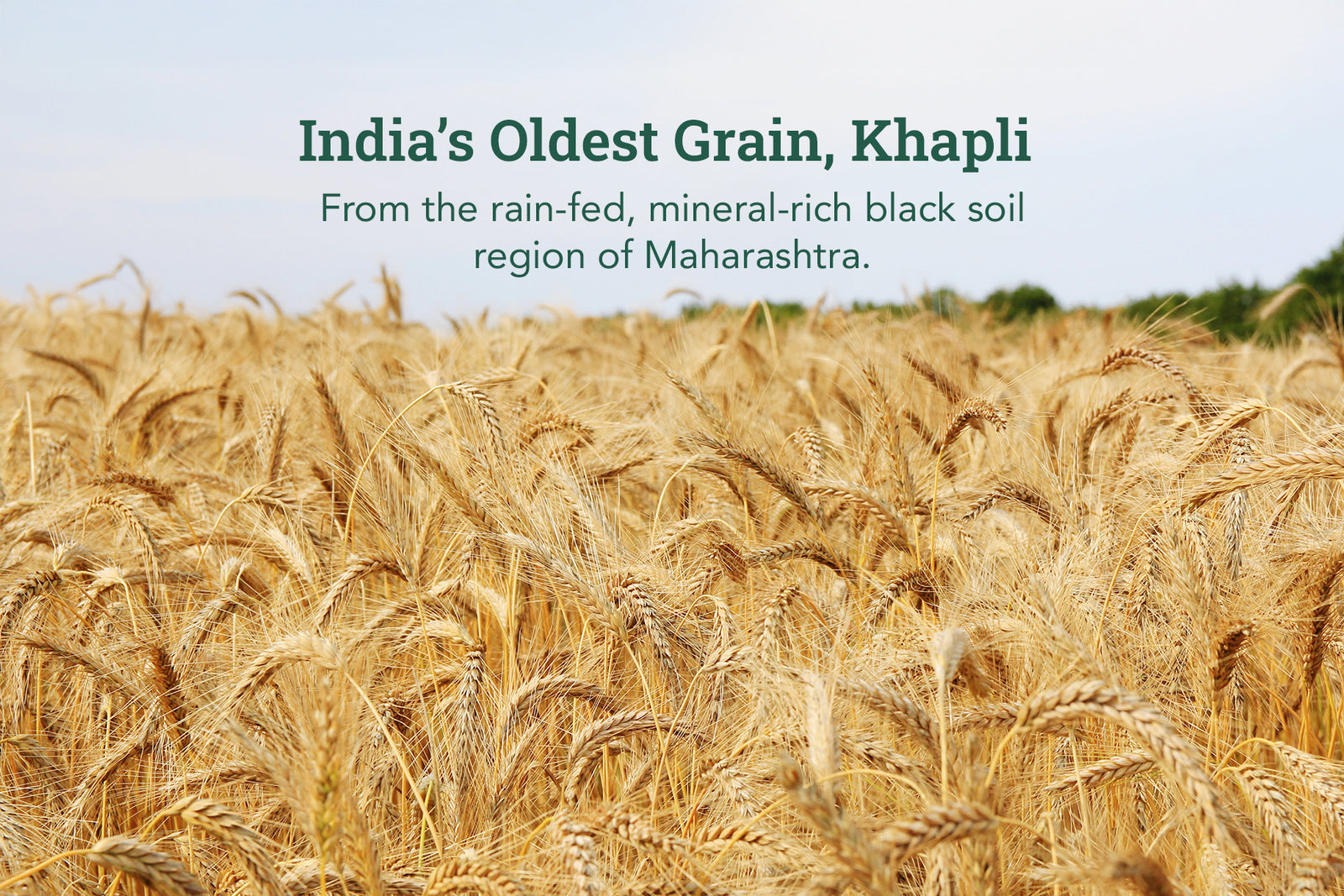 Product process step