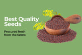 Wood Cold Pressed Oils